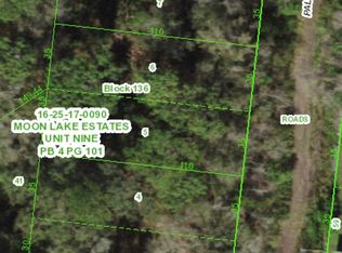 0 N Pallanza Loop #5, New Pt Richey, FL 34654
