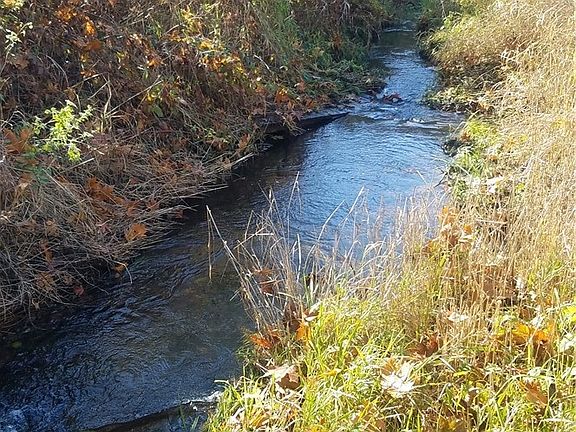 Beautiful creek flowing through the property.