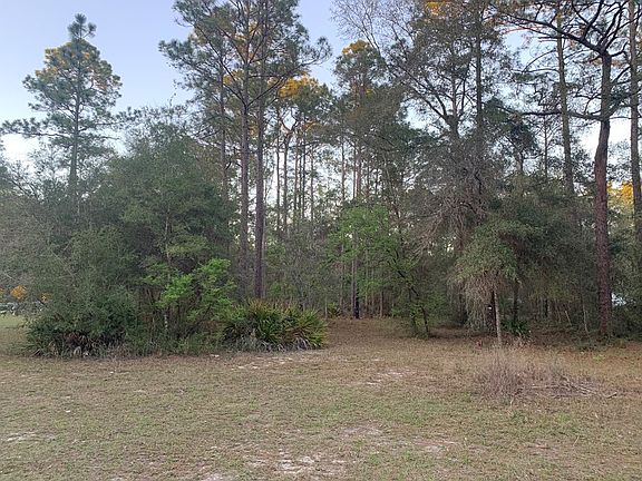 5th image of 11 Buckhorn Creek Rd