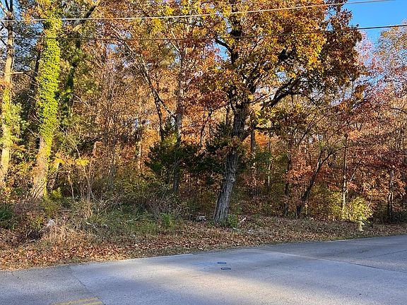 3rd image of 0 Dogwood Dr