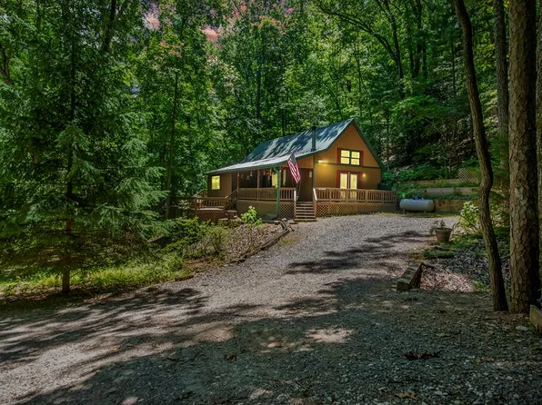 1091 Hickory Dr, Mineral Bluff, GA 30559