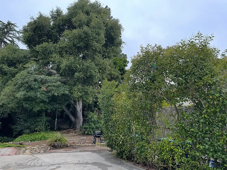 2225 Chapala St — Photo 40