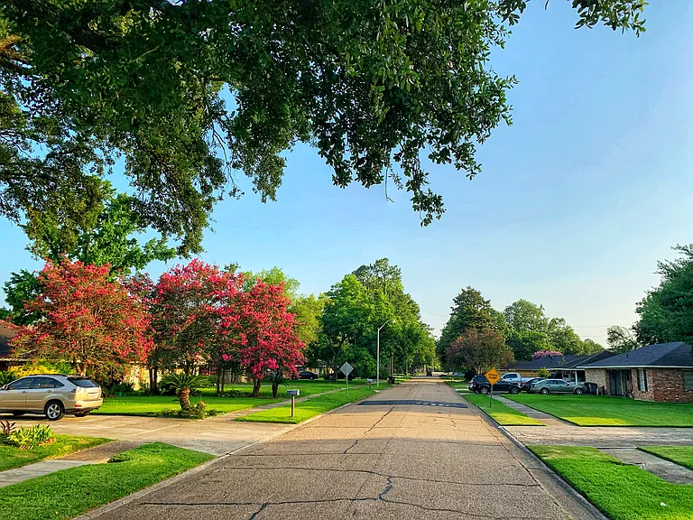 Vienna Ave — Photo 47