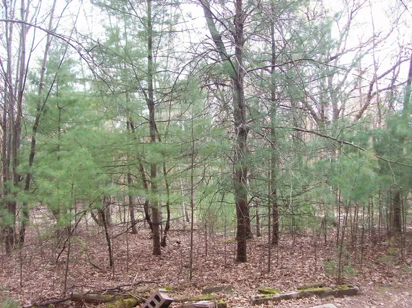 LOT 3 W Meiller Rd, Montello, WI 53949