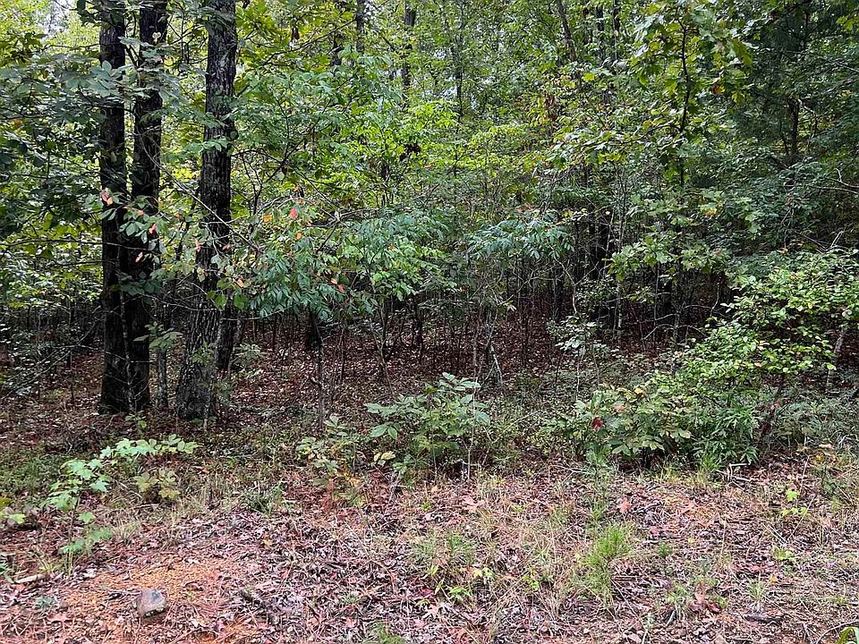 2nd image of 1245 Red Eagle Rd
