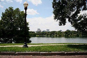 Lake Davis City View