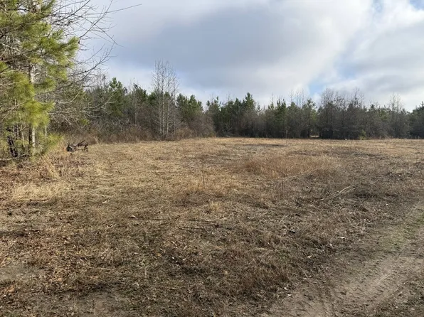 550 Deer Ln, Bennettsville, SC 29512