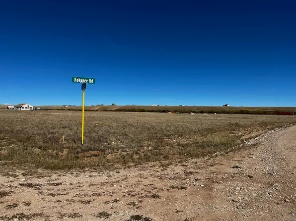 645 Kokanee Rd, Fairplay, CO 80440