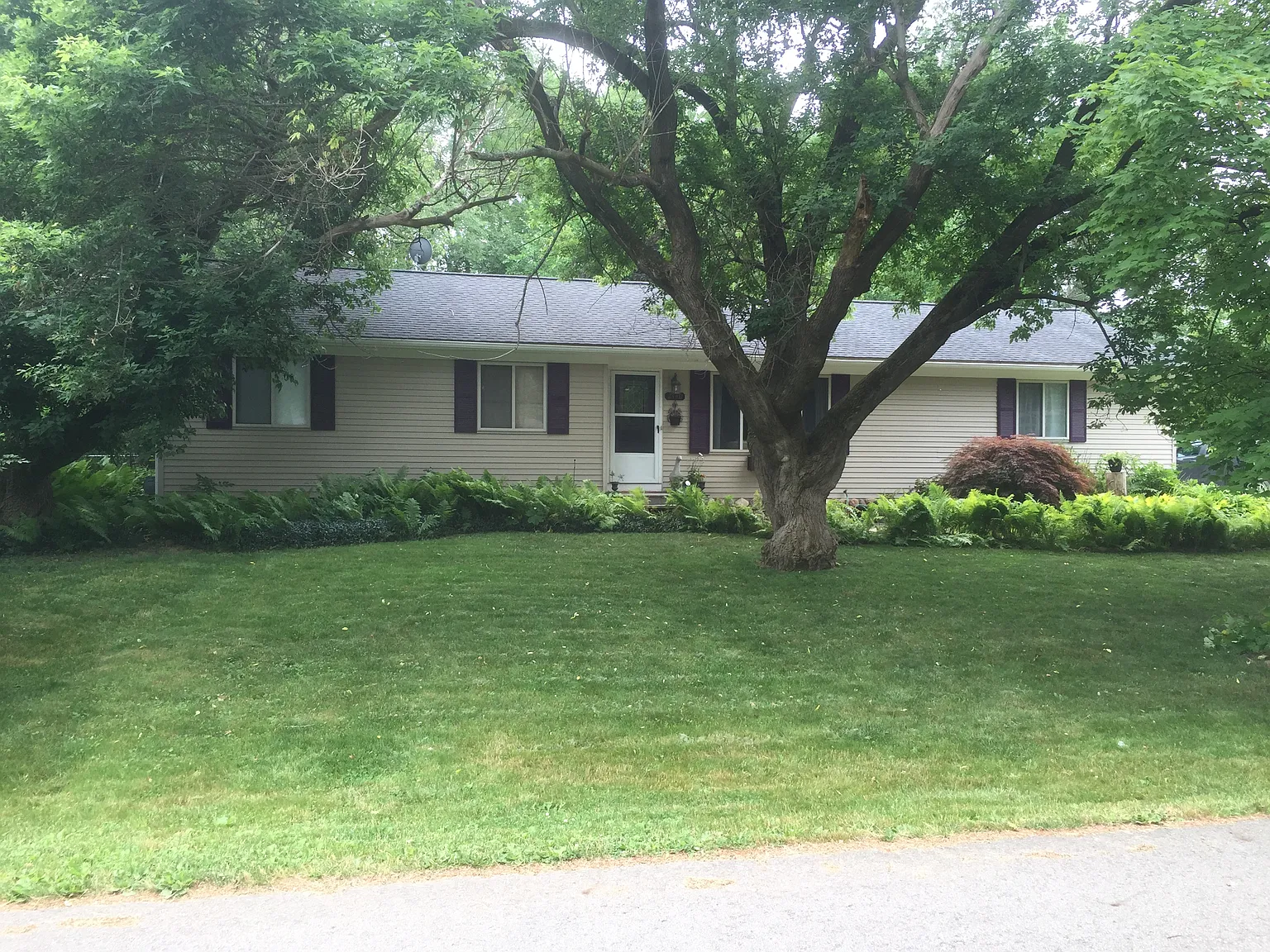 2440 Rose St photo 1