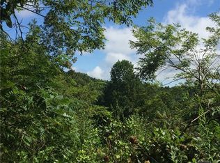 0 Heatherly Heights Rd, Saluda, NC 28773