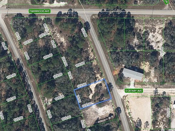 2nd image of 124 Blue Horizon Dr