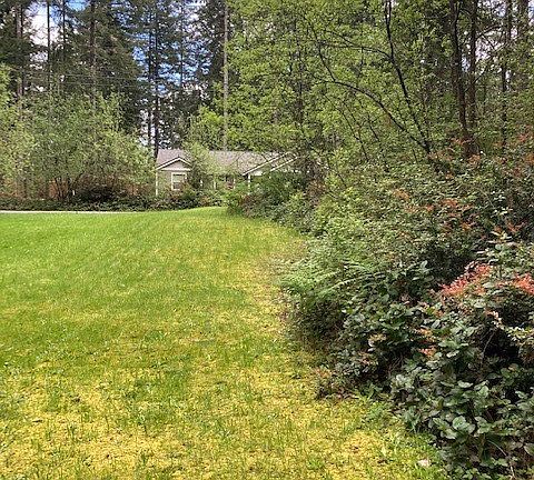 2nd image of 10528 Minterwood Drive