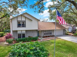 3030 Avalon Terrace Dr, Valrico, FL 33596