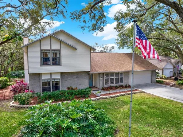 3030 Avalon Terrace Dr, Valrico, FL 33596