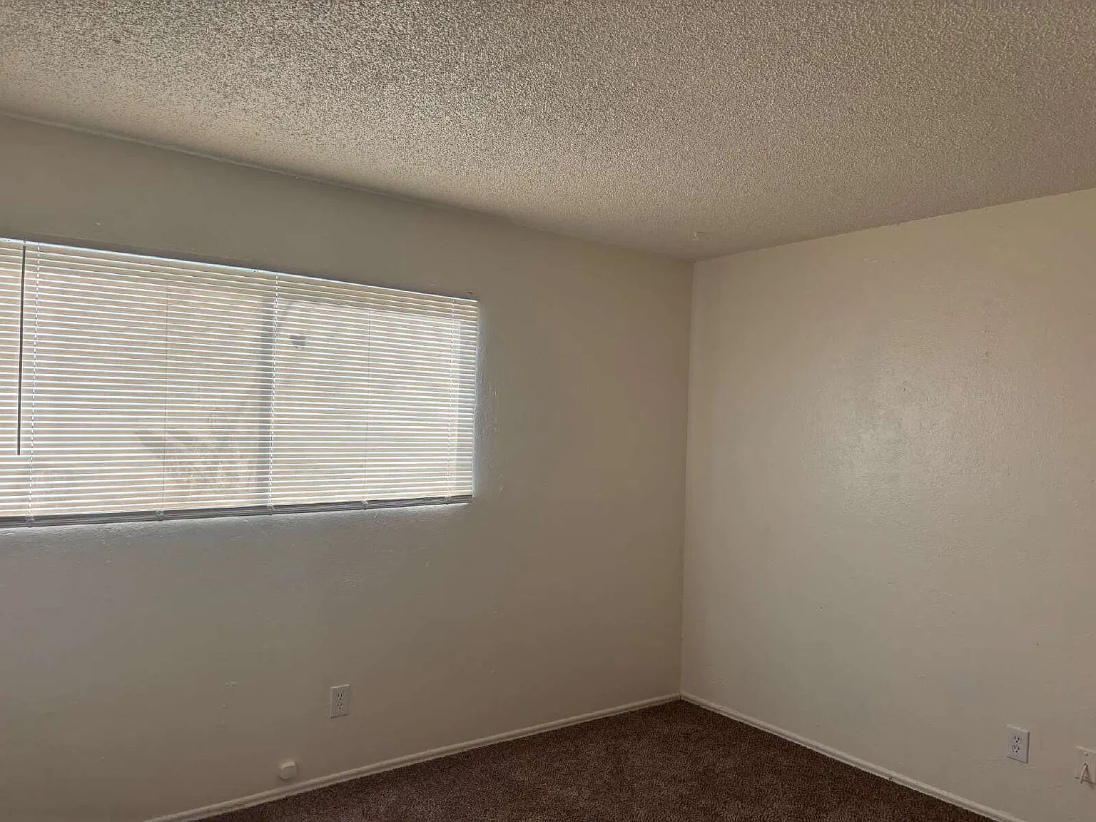 3 bed, 1.0 bath, $1,650 — Photo 3