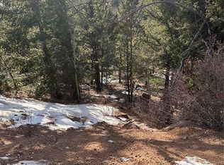 1600 Pikes Peak Dr, Divide, CO 80814