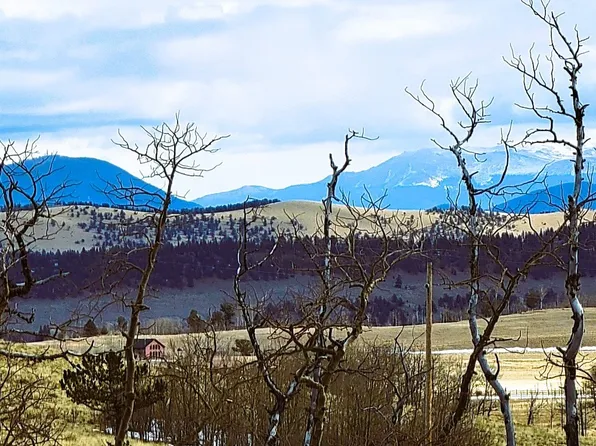 542 Thickspike Rd, Fairplay, CO 80440