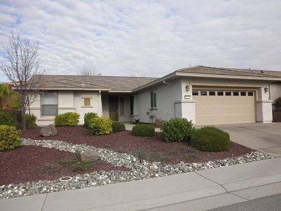 Low Maintenance Landscape
