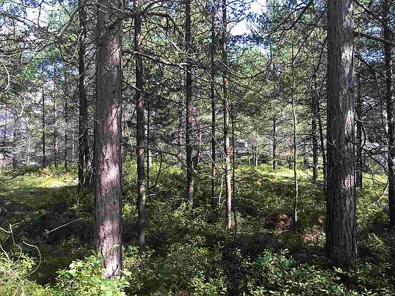 3rd image of 148 Brewer Dr