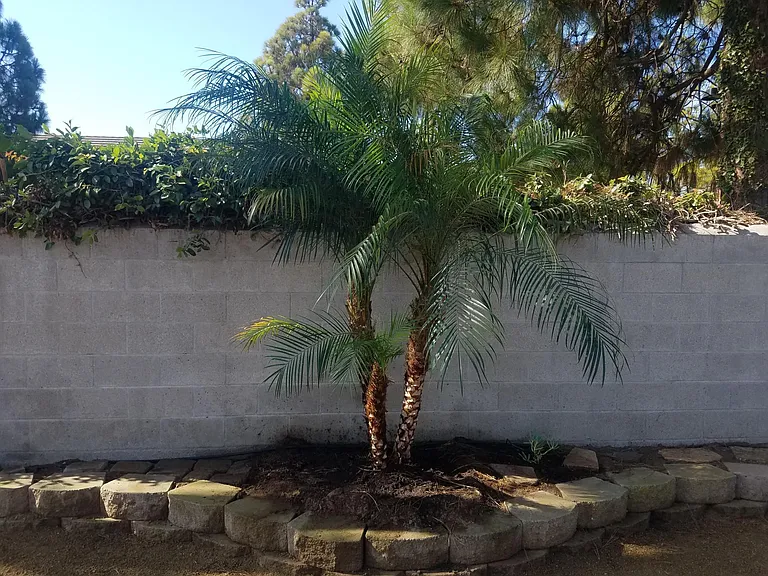 4051 Boone St — Photo 25