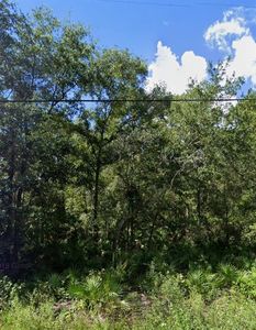 Gowan St Lot 31, New Pt Richey, FL, 34654