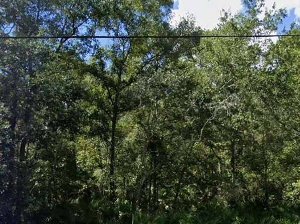 Gowan St Lot 31, New Pt Richey, FL 34654