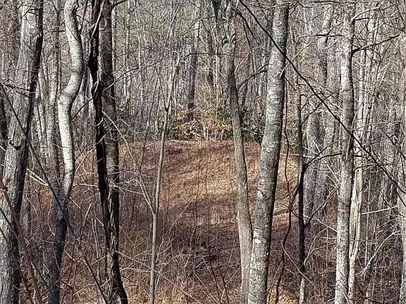 5th image of 4 Brush Creek Rd