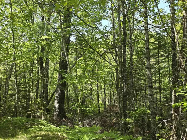 Spruce Dr Lot 174A, Lunenburg, NS B0R