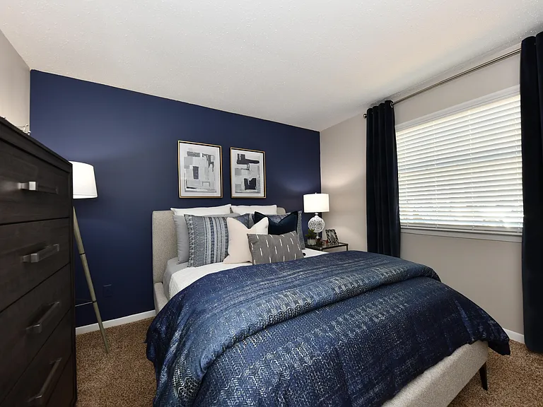 Cozy bedroom with carpet