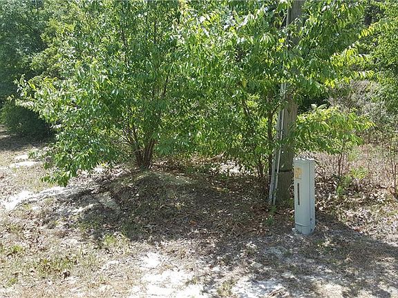 5th image of 5000 N Persimmon Dr