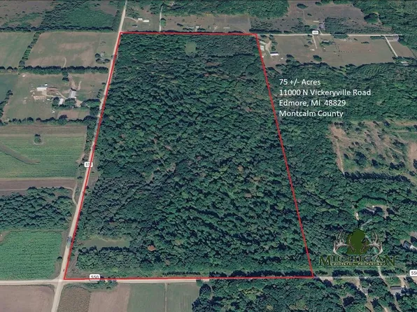 11000 N Vickeryville Rd, Edmore, MI 48829