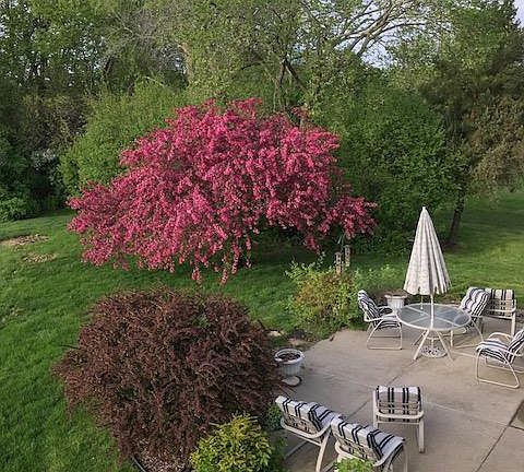 Side yard with patio and vegetable garden just out of sight.