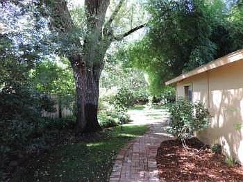 Large cool yard