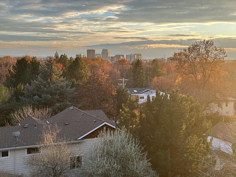 View of downtown from north east corner of the property in the backyard within the fence