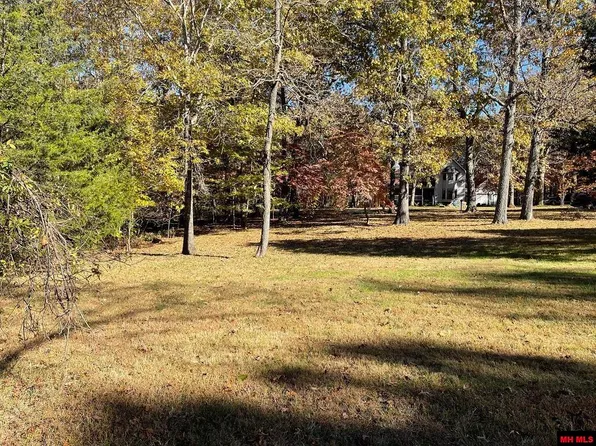 LOT 15 Mc 8111, Flippin, AR 72634