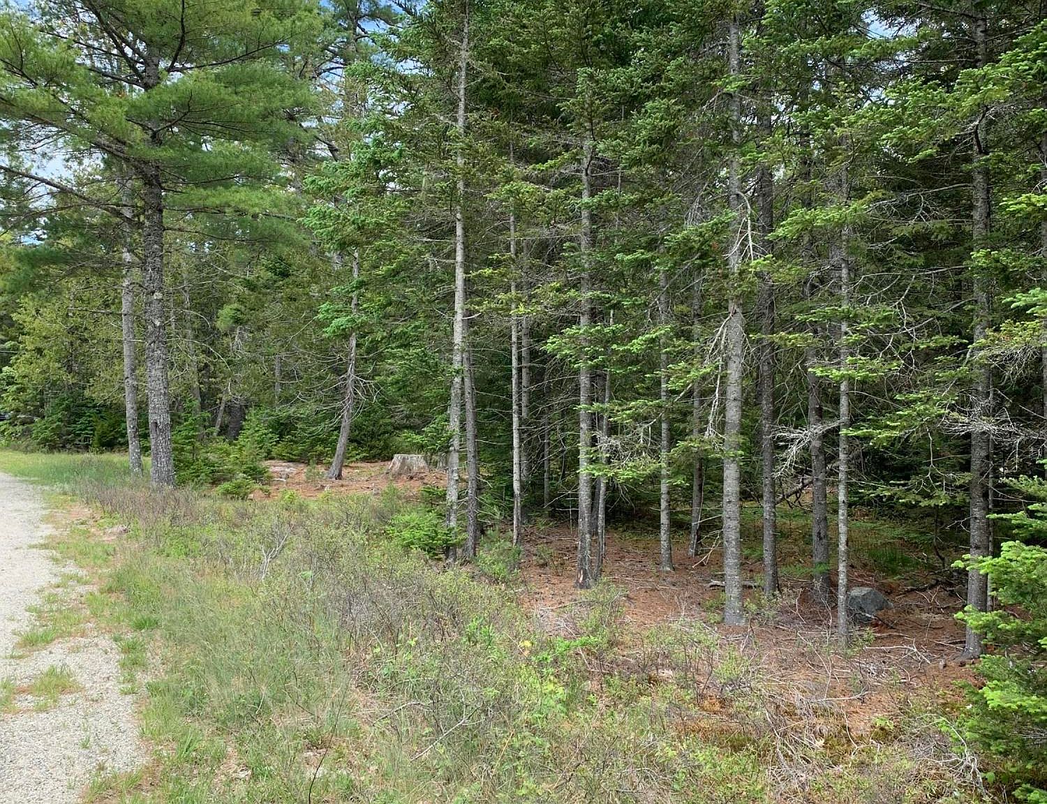 Lot 8 Island Woods Rd, Bar Harbor, ME 04609 Zillow