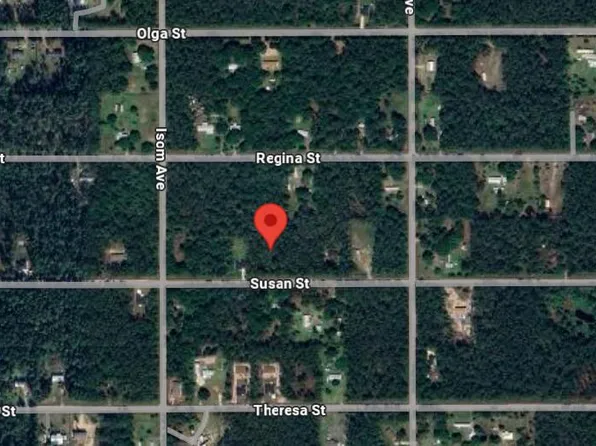 (undisclosed Address), Hastings, FL 32145
