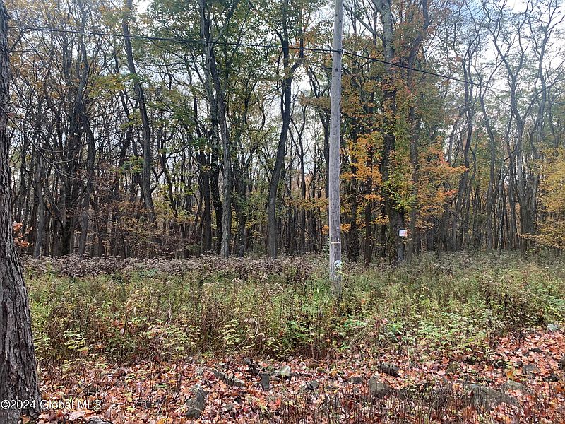3rd image of Lot 2 Clickman Road #12193