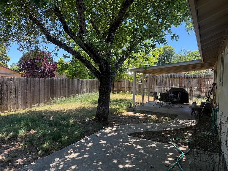 1534 Palm Dr — Photo 6