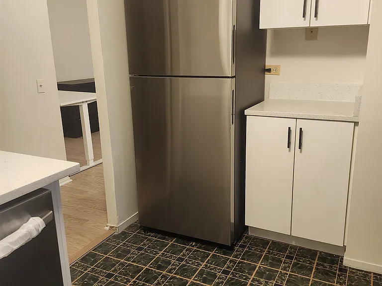 405 N Wabash Ave #1003 — Photo 7