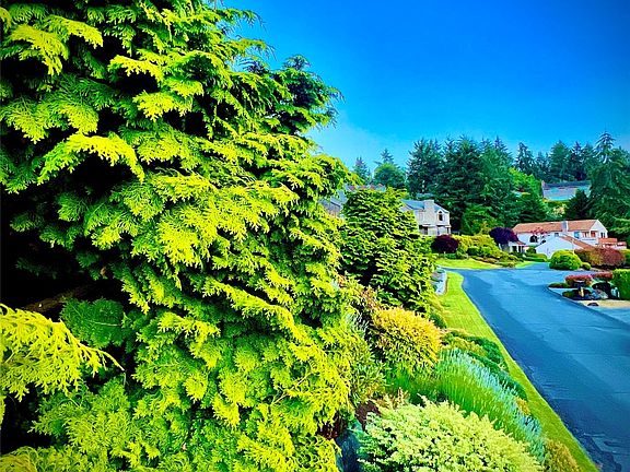 2nd image of 97 Chinook Drive #B