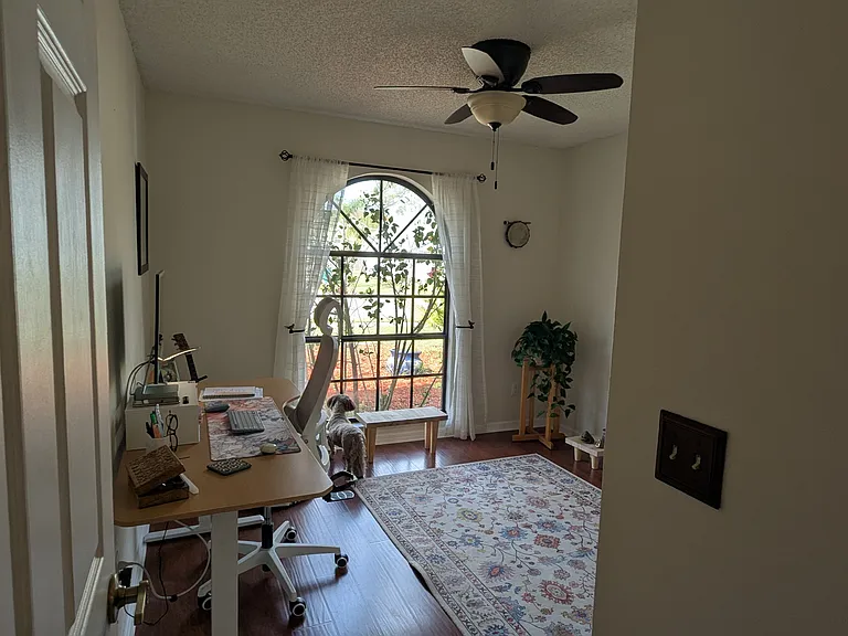 3467 Fan Palm Blvd — Photo 11