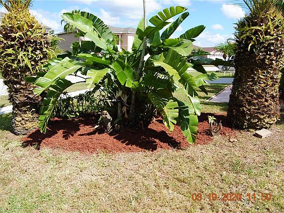 5th image of 2562 Jasmine Trace Dr