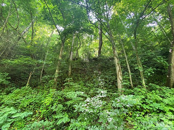 3rd image of 0 Big Laurel Rd