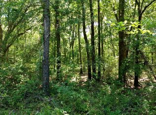 0 Squirrel Aly, Bonifay, FL 32425
