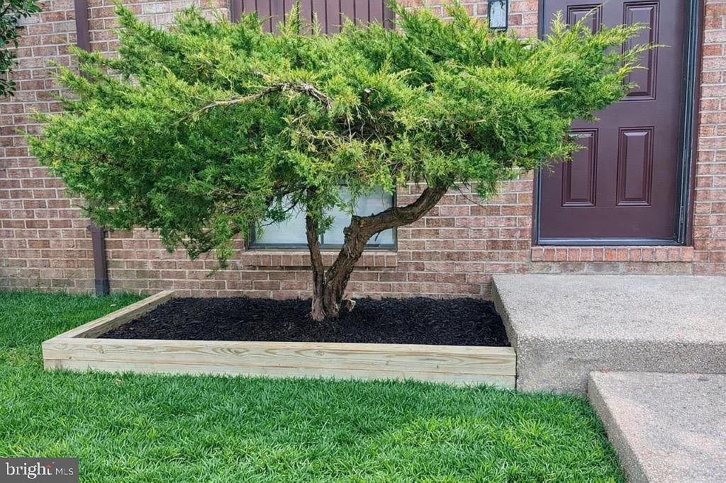 4 bed, 2.5 bath, 1188 sqft, $3,695 — Photo 3