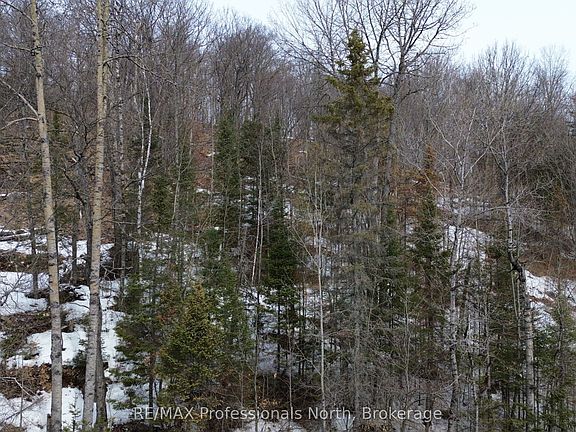 2nd image of 0 Trappers Trail Rd