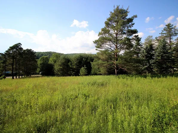 LOT Two Mile Rd, Pt Allegany, PA 16743