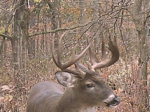 5th image of S7304 Sandusky Road
