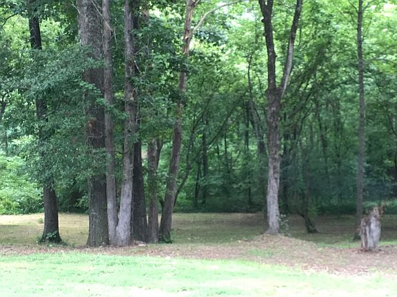 Beautiful wooded acreage 